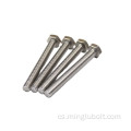 304 316 Hex Head Bolt